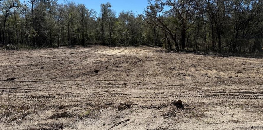 Land in Bronson, Florida № 2159697