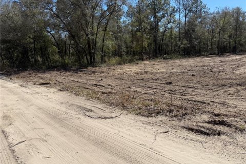 Land in Bronson, Florida № 2159697 - photo 3