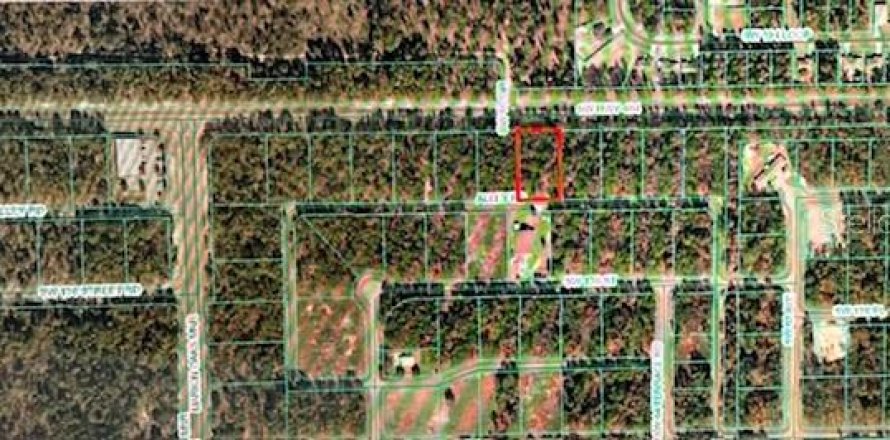 Terrain à Ocala, Floride № 1618242