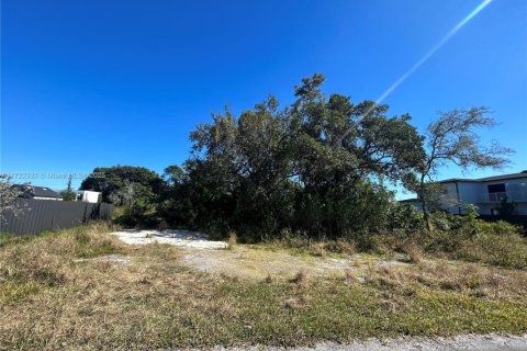 Купить земельный участок в Майами-Дейд, Флорида № 1957305 - фото 1