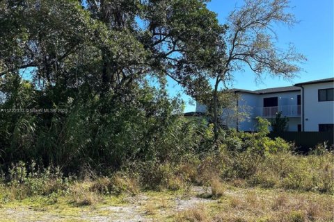 Купить земельный участок в Майами-Дейд, Флорида № 1957305 - фото 3