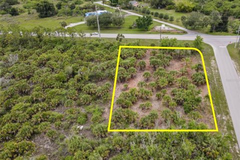 Land in Punta Gorda, Florida № 1772906 - photo 2