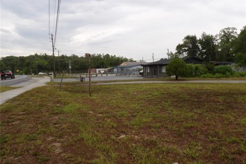 Casa en venta en New Port Richey, Florida, 3 dormitorios, 185.8 m2 № 2211011 - foto 9