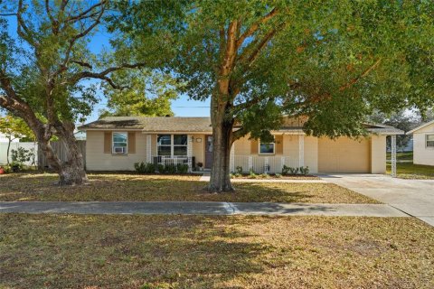 House in Deltona, Florida 4 bedrooms, 166.2 sq.m. № 2217019