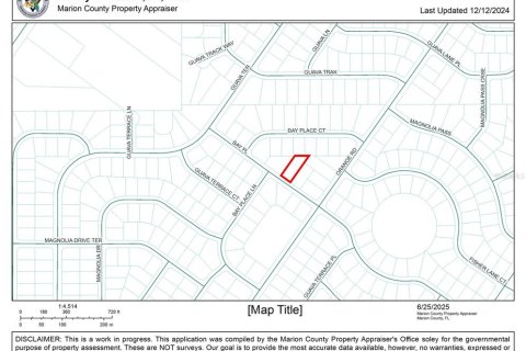 Land in Ocklawaha, Florida № 2213637 - photo 2