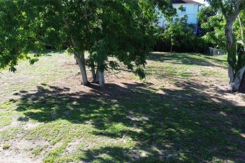 Immobilier commercial à vendre à Sebring, Floride: 131.92 m2 № 2133514 - photo 5