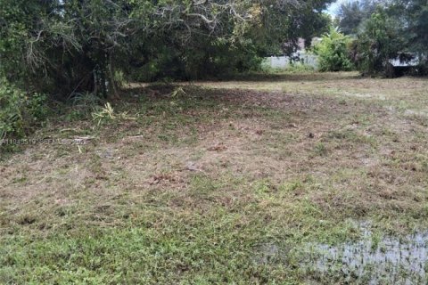 Terrain à Fort Myers, Floride № 2152867