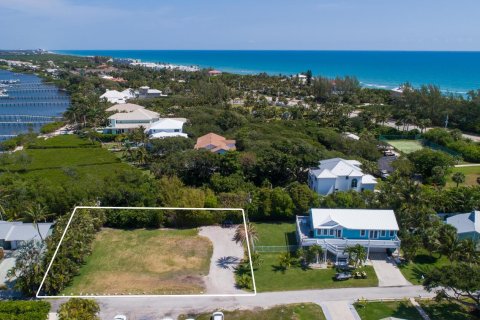 Propiedad comercial en Hutchinson Island South, Florida № 2176406