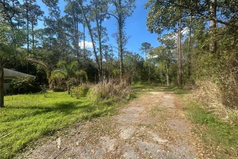 Land in Sanford, Florida № 2214791