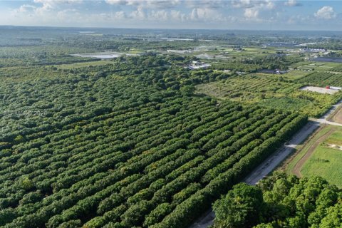 Propiedad comercial en Miami, Florida № 2251232