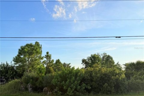 Land in Port Charlotte, Florida № 2389335 - photo 2