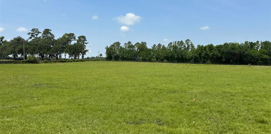 Terreno en Ocala, Florida № 1681334