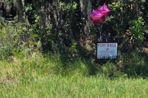 Immobilier commercial à vendre à Lake Placid, Floride № 2170023 - photo 4