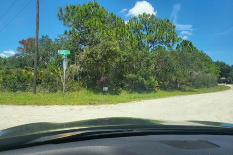 Immobilier commercial à Lake Placid, Floride № 2170023