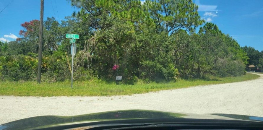 Immobilier commercial à Lake Placid, Floride № 2170023