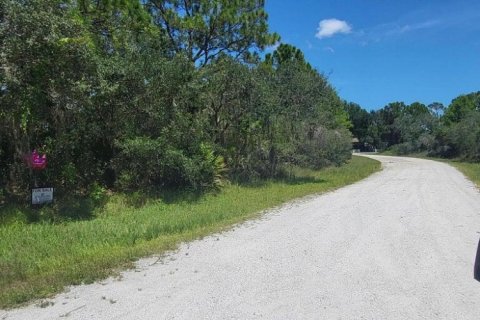 Immobilier commercial à vendre à Lake Placid, Floride № 2170023 - photo 3
