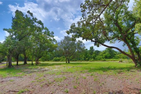 Terreno en venta en Tampa, Florida № 1761250 - foto 1