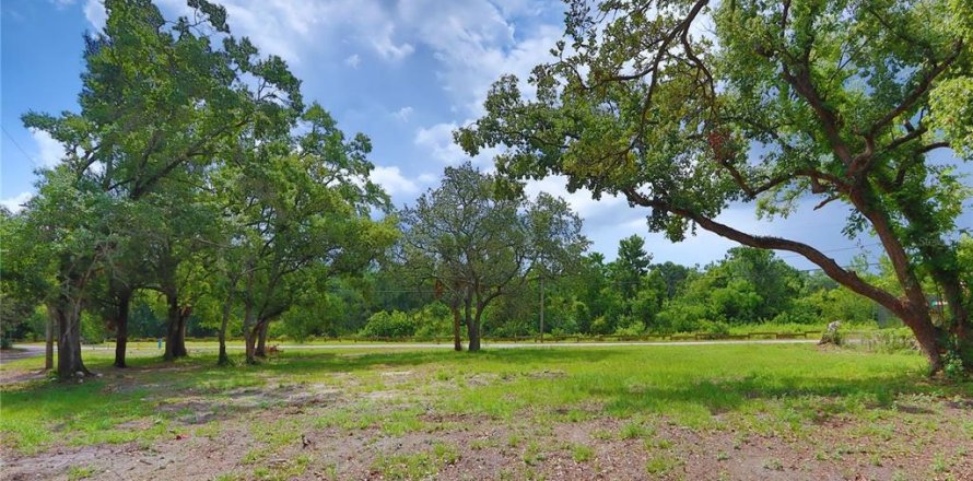 Terreno en Tampa, Florida № 1761250