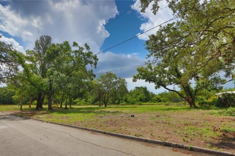 Terreno en venta en Tampa, Florida № 1761250 - foto 3