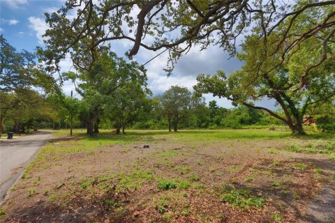 Terreno en venta en Tampa, Florida № 1761250 - foto 5