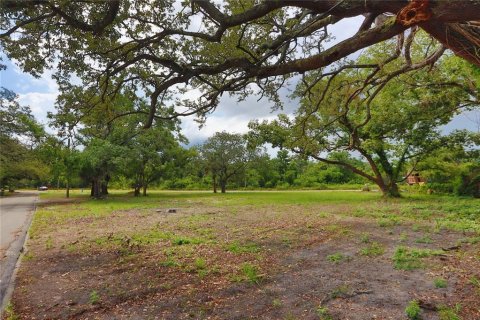 Terreno en venta en Tampa, Florida № 1761250 - foto 4