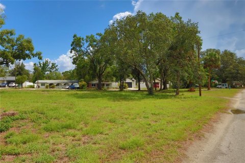 Terreno en venta en Tampa, Florida № 1761250 - foto 2