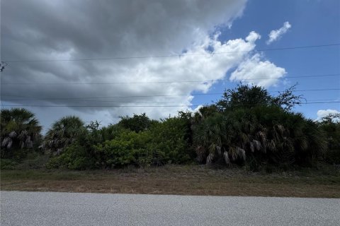 Terrain à vendre à Port Charlotte, Floride № 2167499 - photo 2