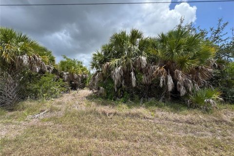 Terrain à vendre à Port Charlotte, Floride № 2167499 - photo 4