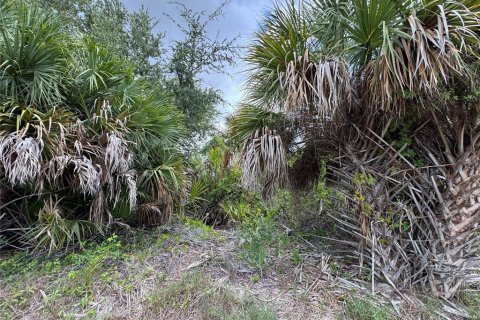 Terrain à vendre à Port Charlotte, Floride № 2167499 - photo 5