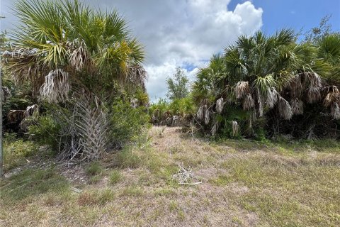 Terrain à vendre à Port Charlotte, Floride № 2167499 - photo 6