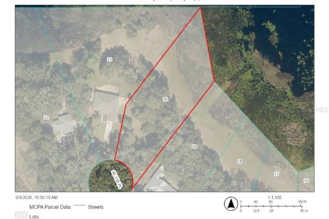 Land in Umatilla, Florida № 2100916 - photo 2