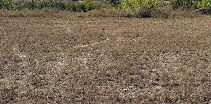 Terrain à Cape Coral, Floride № 2217068