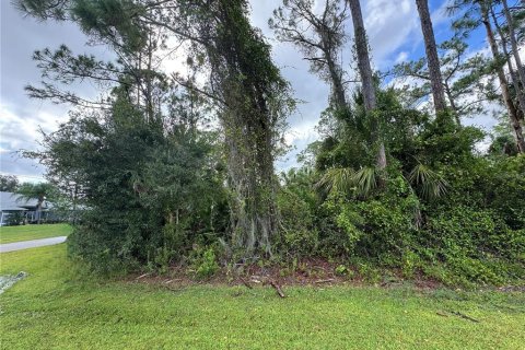 Land in North Port, Florida № 1782276 - photo 3