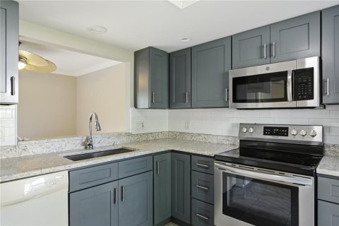 Condo in Tarpon Springs, Florida, 2 bedrooms  № 2239699 - photo 16