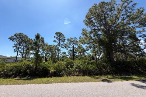 Land in North Port, Florida № 2165611 - photo 3