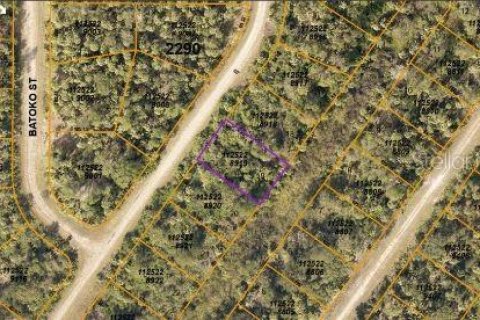 Land in North Port, Florida № 2163495 - photo 3