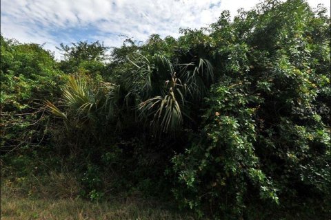Land in North Port, Florida № 2163495 - photo 2