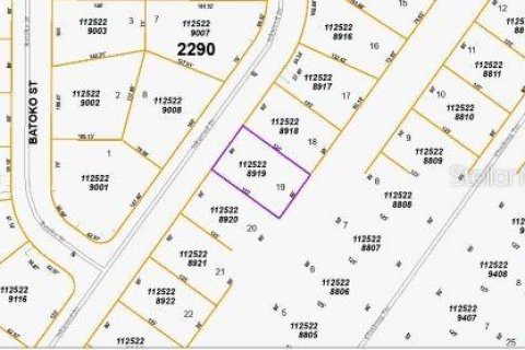 Land in North Port, Florida № 2163495 - photo 5