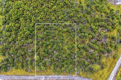 Terrain à Palm Bay, Floride № 2159782