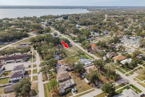 Terrain à vendre à Oldsmar, Floride № 2226593 - photo 6