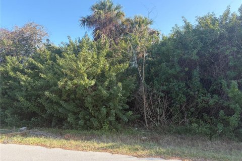 Land in Port Charlotte, Florida № 2228635 - photo 2