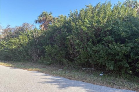 Land in Port Charlotte, Florida № 2228635 - photo 3