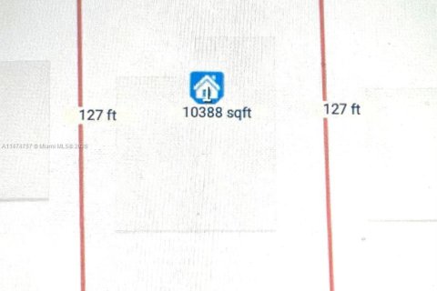 Land in Miami Shores, Florida № 1895914 - photo 13