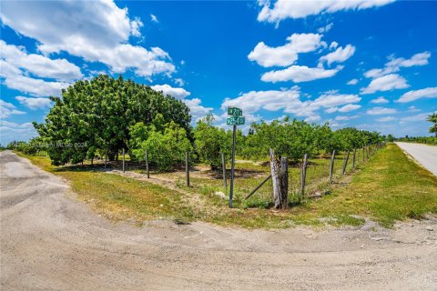 Land in Homestead, Florida № 1168466 - photo 1