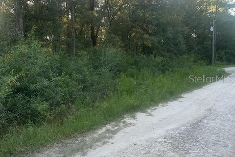 Land in Ocala, Florida № 2223920 - photo 3