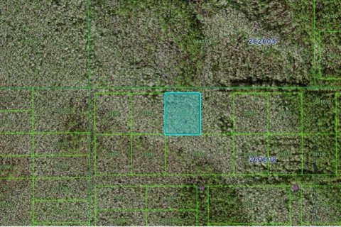 Land in Polk City, Florida № 2163753