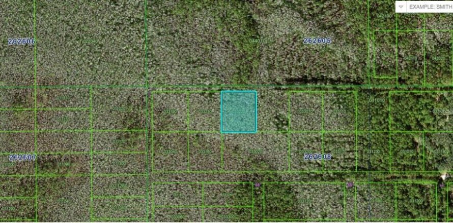 Land in Polk City, Florida № 2163753