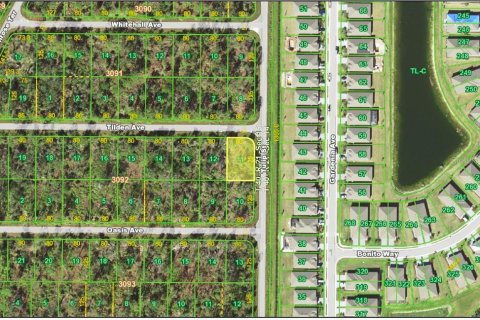 Land in Port Charlotte, Florida № 2277037