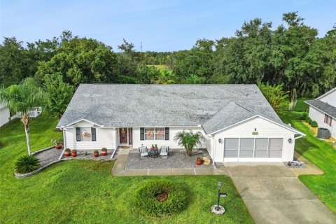 Villa ou maison à vendre à Leesburg, Floride: 3 chambres, 200.58 m2 № 2437136 - photo 2