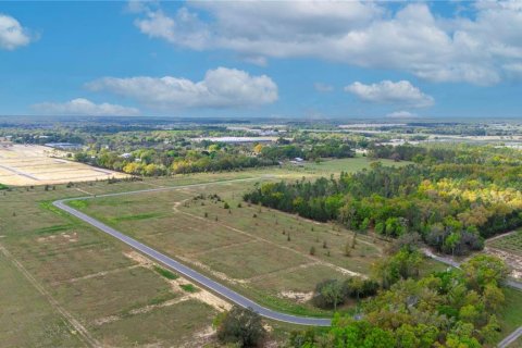 Land in Apopka, Florida № 885261 - photo 19